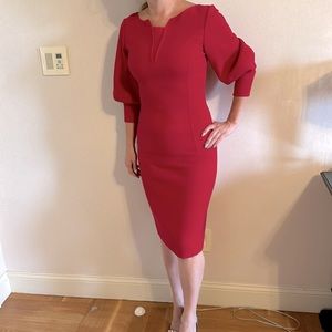 Oscar de la Renta fitted dark rose dress